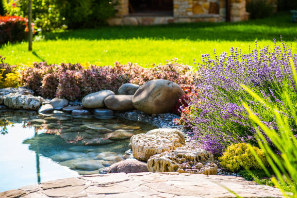 A tranquil garden pond surrounded by lush plants and large stones." Title: "Tranquil Garden Pond